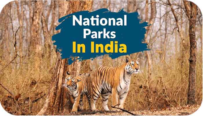 Make A List Of National Parks In India